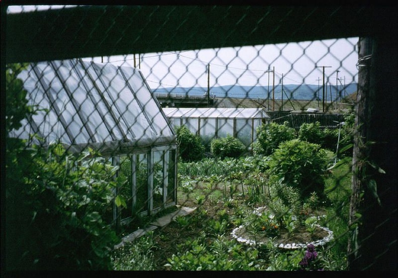 Никола. 1991 - 0_9419f_2ed188ab_XXXL.jpg 0_9419f_2ed188ab_XXXL.jpg