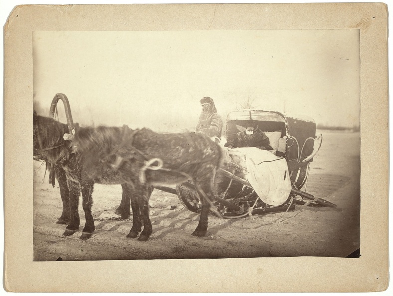 Вид сибирских саней в холодное утро. 1885-1886 - 0_adee5_e0941888_XXXL.jpg 0_adee5_e0941888_XXXL.jpg