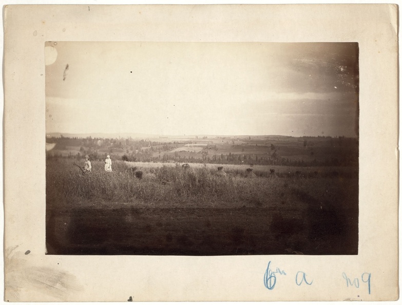 Женщины собирают урожай вблизи Красноярска. 1885-1886 - 0_adef3_8cad27f1_XXXL.jpg 0_adef3_8cad27f1_XXXL.jpg