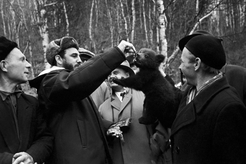 TASS 1195851 - TASS_1195851.jpg TASS_1195851.jpg