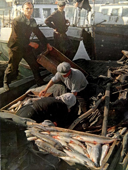 Рыбаки на Байкале. 1960-70-е - YCsU-YLRVa8.jpg YCsU-YLRVa8.jpg