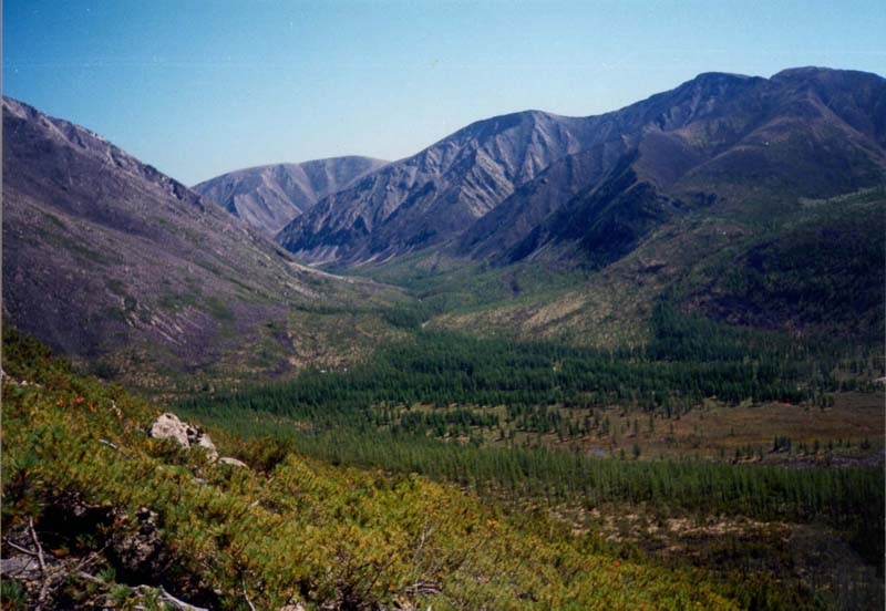 Дзержинский заповедник