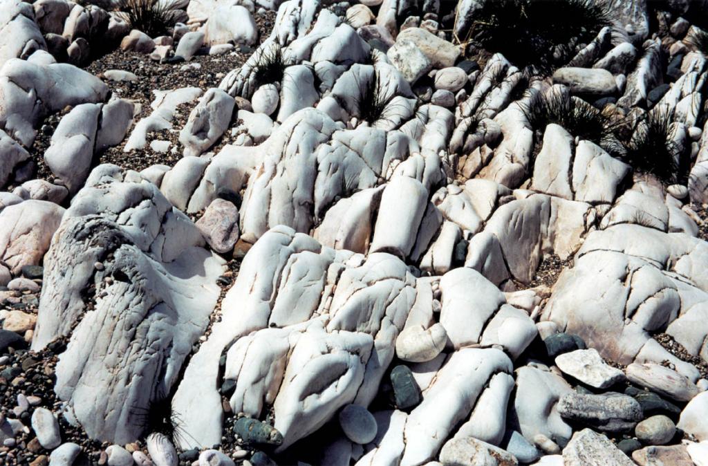 Обнажения мраморов на берегу острова Тонкий (архипелаг Ушканьи острова).