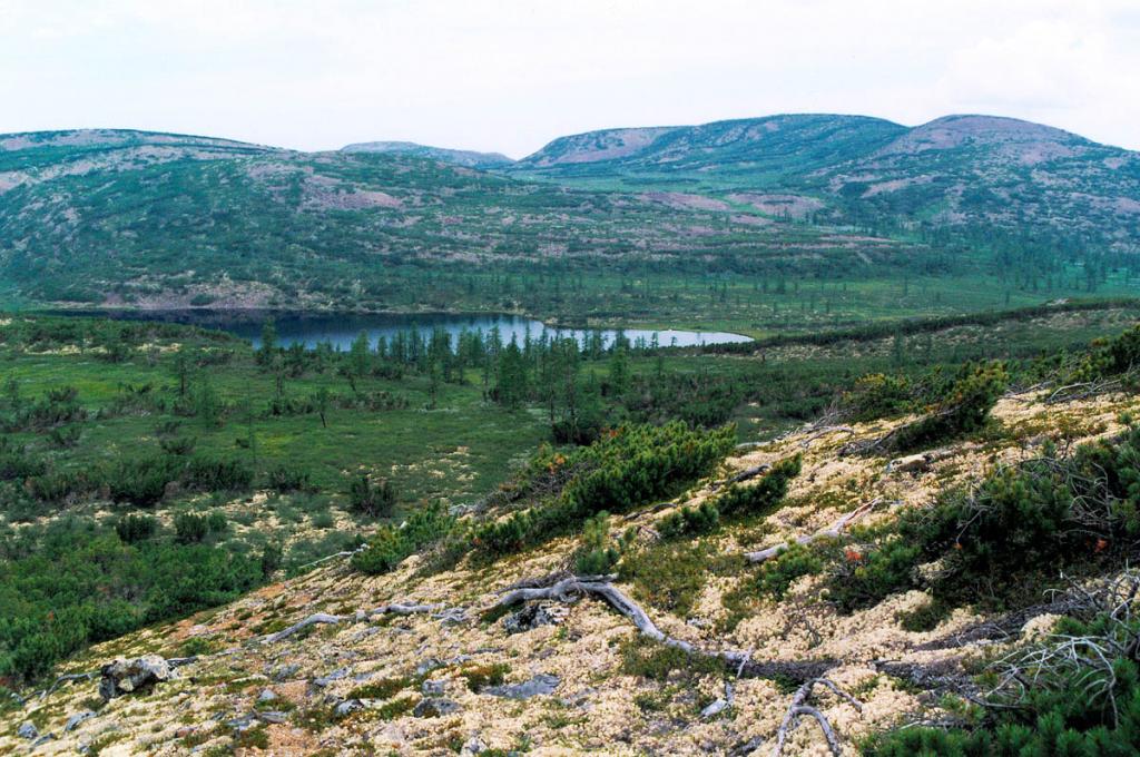 Из озера, расположенного на небольшом межгорном понижении в южной части Байкальского хребта, берет свое начало великая река Северной Азии Лена.