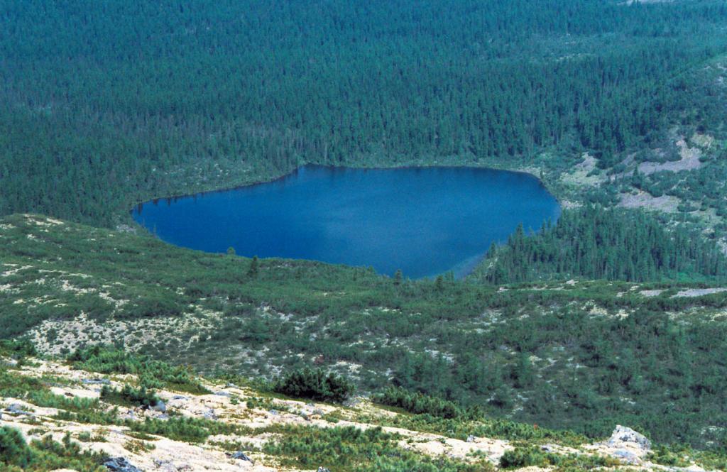 Озеро Хайрюзовое дает начало одноименному правому притоку р. Большой Анай (Байкальский хребет). Озеро находится на границе гольцового и подгольцового поясов вблизи истока реки Лена.