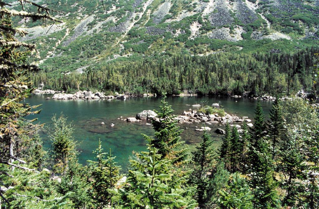 Живописное озеро &quot;Нижнее&quot; на речке Шумилиха (Баргузинский хребет) окружено парковым ельником и зарослями субальпийских кустарников.