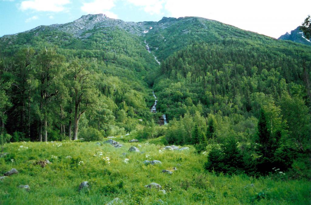 Лесная каменистая поляна в долине р. Сосновка. Слева - старый тополевник (тополь душистый).