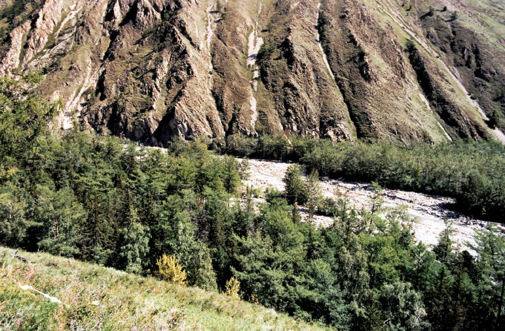 Склоны гор над долиной речки Риты покрыты каменистой разнотравной степью. (Мыс Хыр-Хушуун, Рытый).