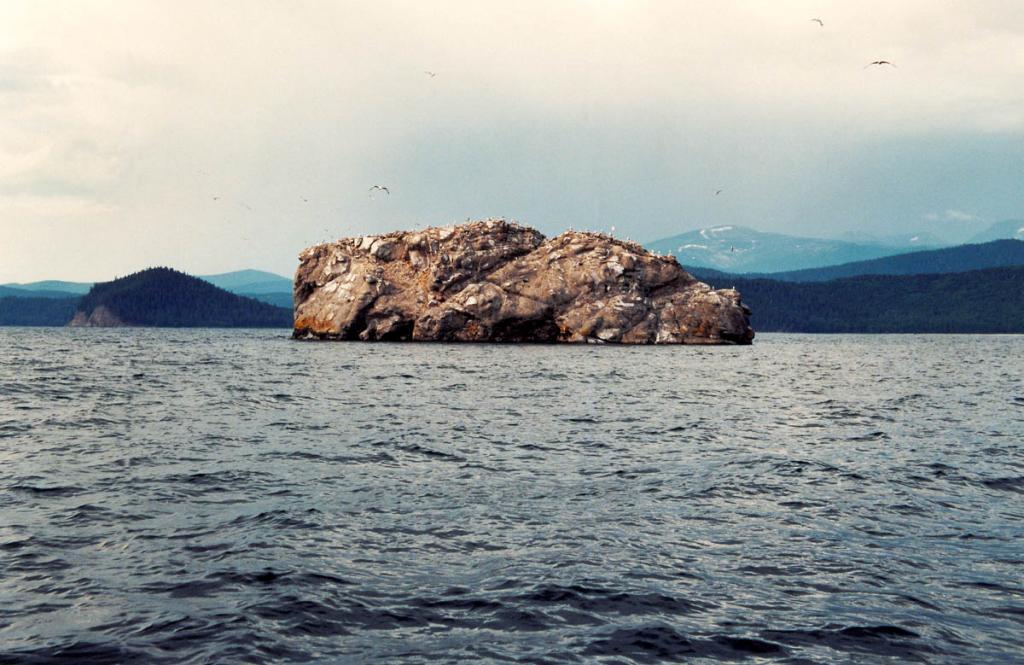 Остров Безымянный (Белый) камень выступает из воды у северо-восточного берега Чивыркуйского залива в 3 километрах севернее от острова Большого Бакланьего. На голой скале находится чаячий базар.