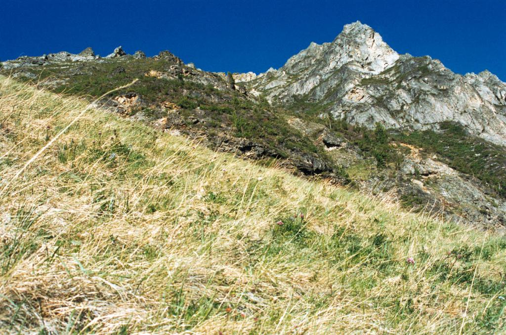 Разнотравно-злаковые степи по восточным склонам Баргузинского хребта поднимаются до высоты 1800 м. над ур.м.