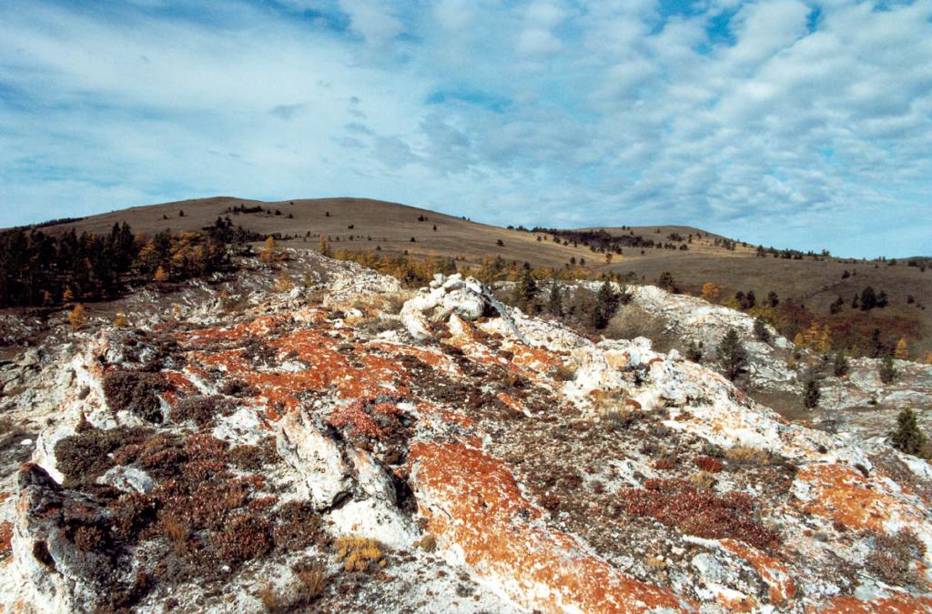 Участок уникальной холмистой Тажеранской степи (южный изолированный участок) в районе пади Зун-Саган-Заба. Возраст массива оценивается в 300-400 млн. лет.