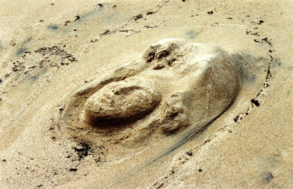 &quot;Бурхан Байкала&quot;. Скульптурное изображение человеческого лица на песчаном берегу в Баргузинском заливе создано художником.