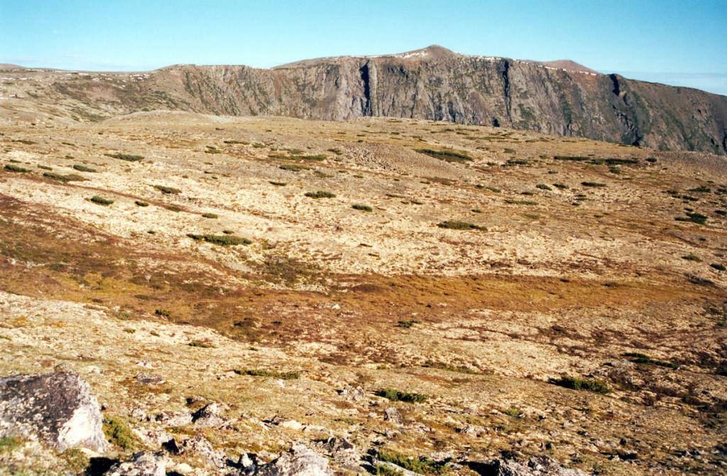 Платообразные вершины гор Байкальского хребта в основном занимает каменистая лишайниковая тундра. Проективное покрытие в ней кустистых и листоватых лишайников нередко достигает 80%. На снимке: участок тундры на Шартлинском Плато. Зеленые пятна - кусты кедрового стланика.