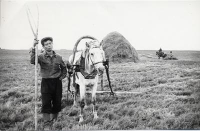 А. Вампилов в колхозе.