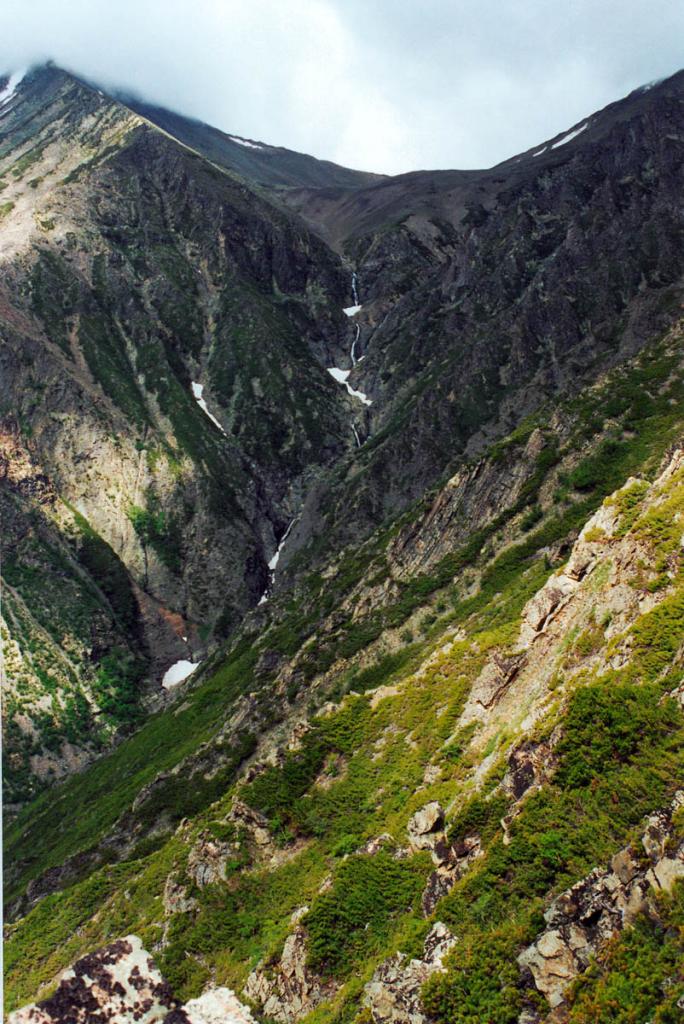 Находящийся у юго-западной границы своего ареала кедровый стланик покрывает до 50% высокогорных склонов Байкальского хребта. На снимке: вершина левого притока р. Средний Кедровый.