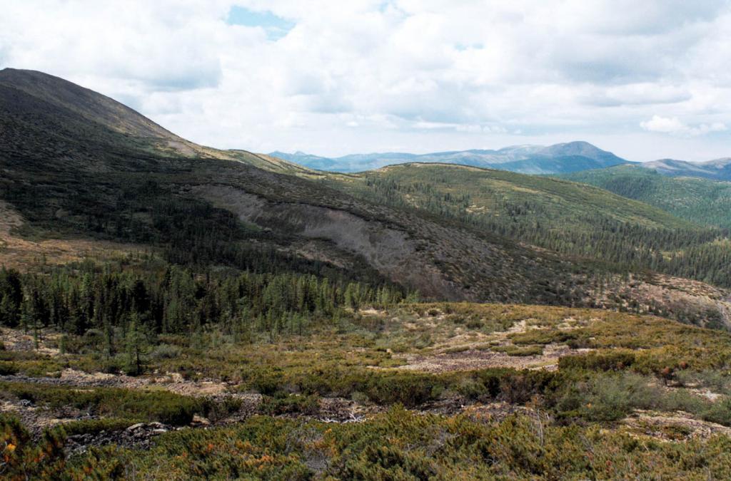 Западные склоны Байкальского хребта у перевала Хаврошинского. На снимке: справа - долина одного из притоков р. Лена.