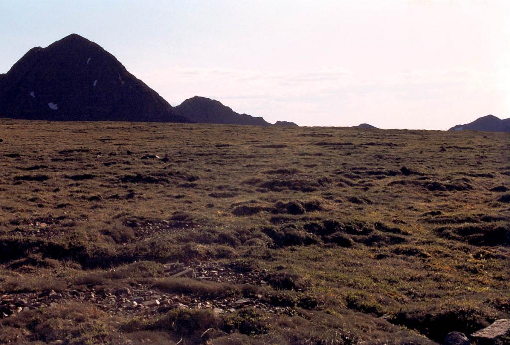 Участок травянистой тундры на Байкальском хребте с типичными для высокогорий щебенчато-суглинистыми пятнами-медальонами - признаками морозно-мерзлотных процессов.