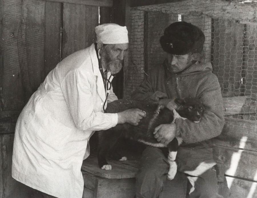 Старший ветврач Александров С.И. и старший егерь Кондратьев А.В. осматривают щенков.