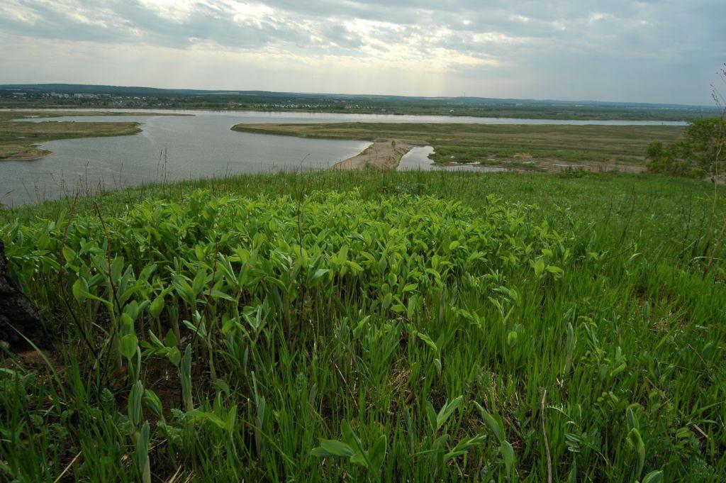 Вид на Ангару с устья Куды