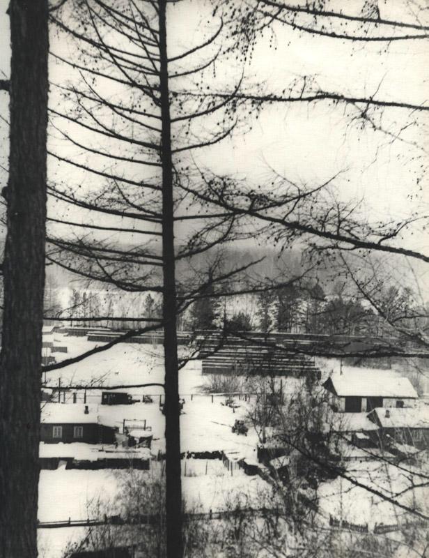 Общий вид питомника лаек в Мотах. 1972 год.