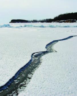 Трещина льда у берегов Ушканьих островов