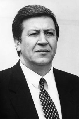 В. Межевич