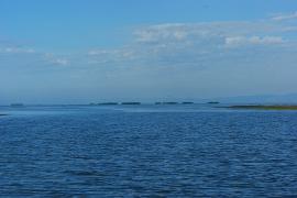 Вячеслав Резунов. http://nature.baikal.ru