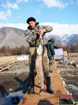 Байкальская рыба самая вкусная.