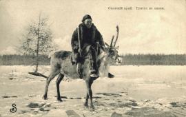 Тунгус на олене. Фото Р.Ю. Зонненбурга. 1909